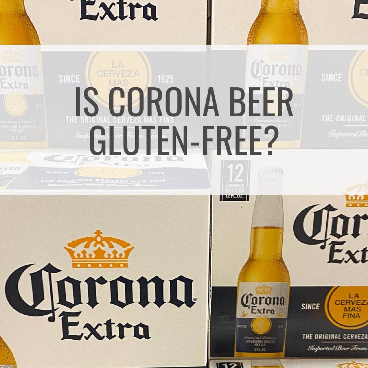 Is Corona Beer Gluten-Free: Investigating the Gluten Content in Corona Beer